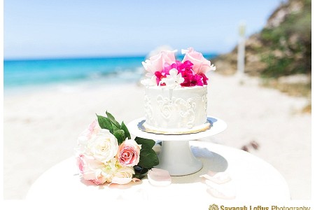 View More: http://savanahloftus.pass.us/santilli